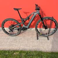 E-Bike Olympia Karbo