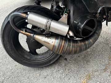marmitta dbr trofeo