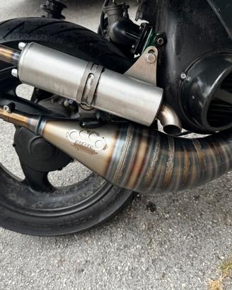 marmitta dbr trofeo