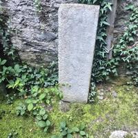 pietra antica