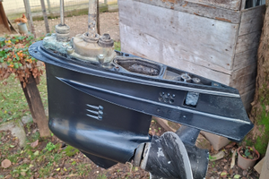 Piede evinrude 40cv e-tec