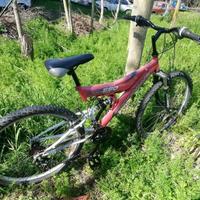 Biciclette belle vario tipo a grosseto