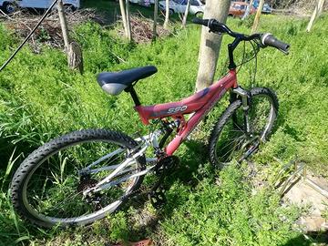 Biciclette belle vario tipo a grosseto