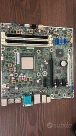 scheda madre hp fm2 con cpu amd a4-5300 - funziona