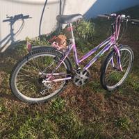 Bici pet bambina da 7 a 12 anni