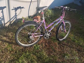 Bici pet bambina da 7 a 12 anni
