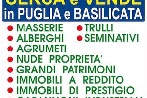 Piccolo terreno in c.da Miola a Massafra