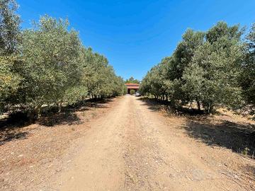 Villa Residenziale Mutuabile in campagna