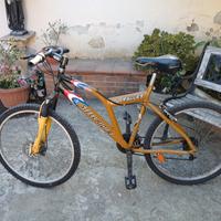 bici montabaik 