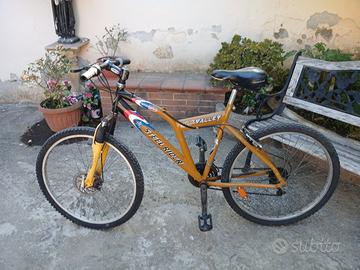 bici montabaik 