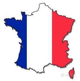 Docente francese