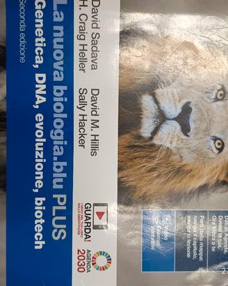 libro liceo scientifico 