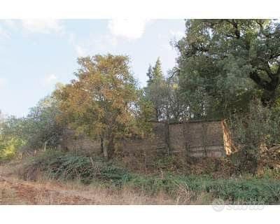 Magazzino agricolo - Vista 3