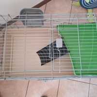 Gabbia per coniglio nano e simili