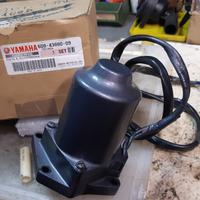 Motore Trim Yamaha F80/F100
