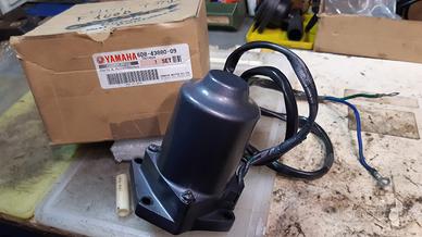 Motore Trim Yamaha F80/F100