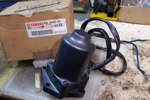 Motore Trim Yamaha F80/F100