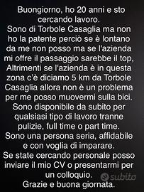 Cercassi