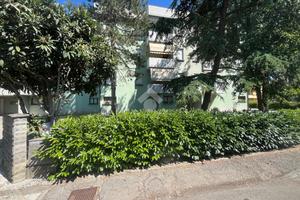 5 LOCALI A CASTELNOVO DI SOTTO
