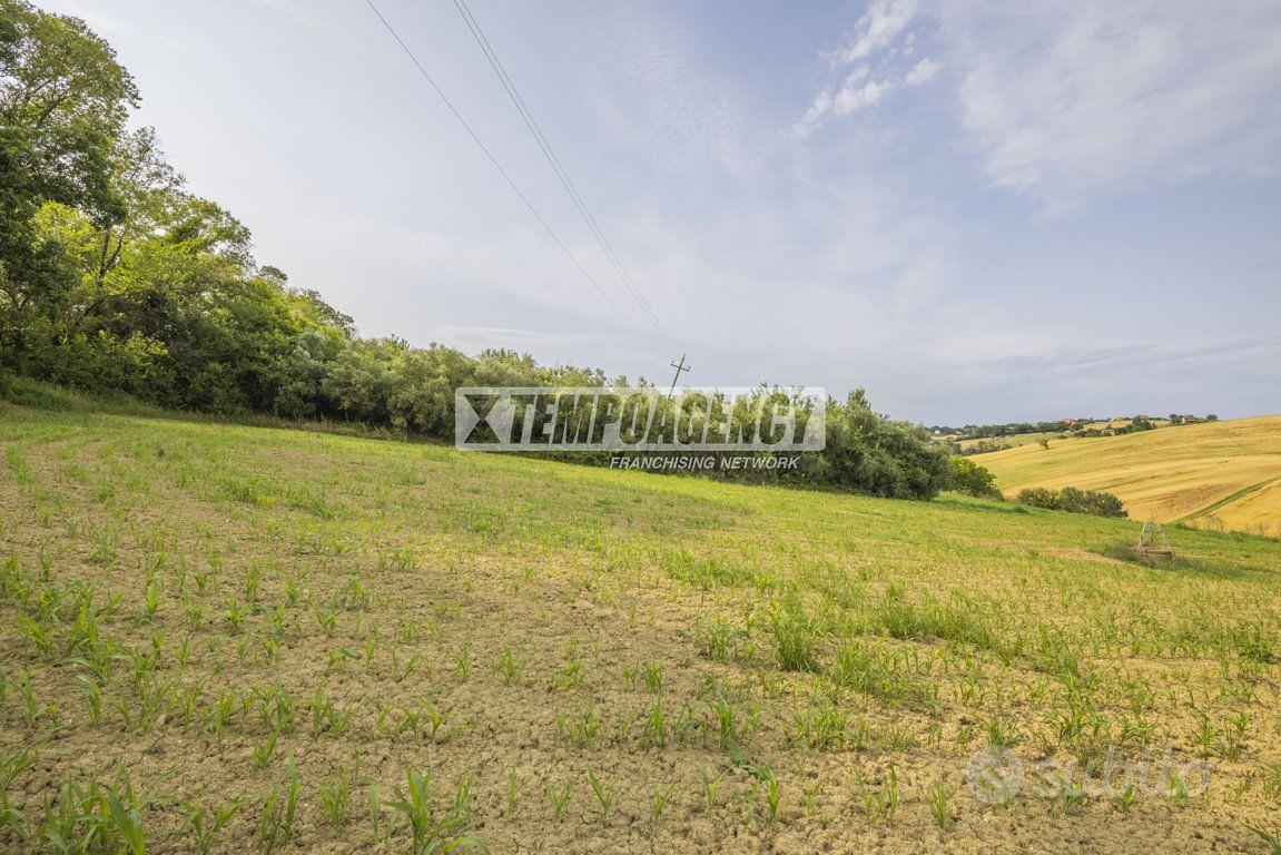 Terreno agricolo di 36.600 mq a Morrovalle! - Altro