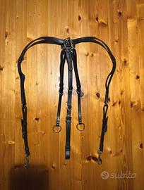 Pettorale martingala Pariani equitazione cavallo