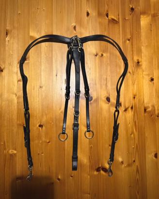 Pettorale martingala Pariani equitazione cavallo