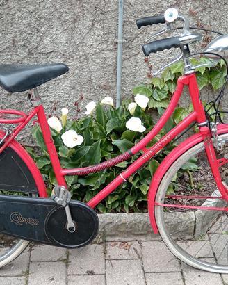 bicicletta donna 
