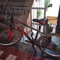 Bicicletta Itek rossa