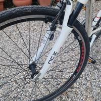 Bottecchia 21 rapporti