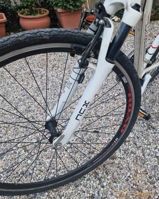 Bottecchia 21 rapporti