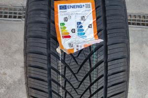 Pneumatico 4 stagioni tracmax  255/50zr19