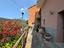 Immagine 11