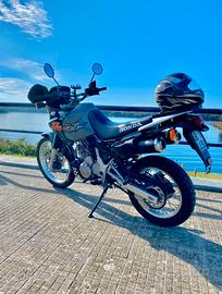 Honda Dominator