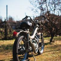 MALANCA Tigre Testarossa (tubone)