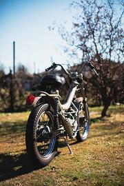 MALANCA Tigre Testarossa (tubone)