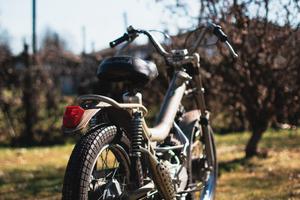 MALANCA Tigre Testarossa (tubone)