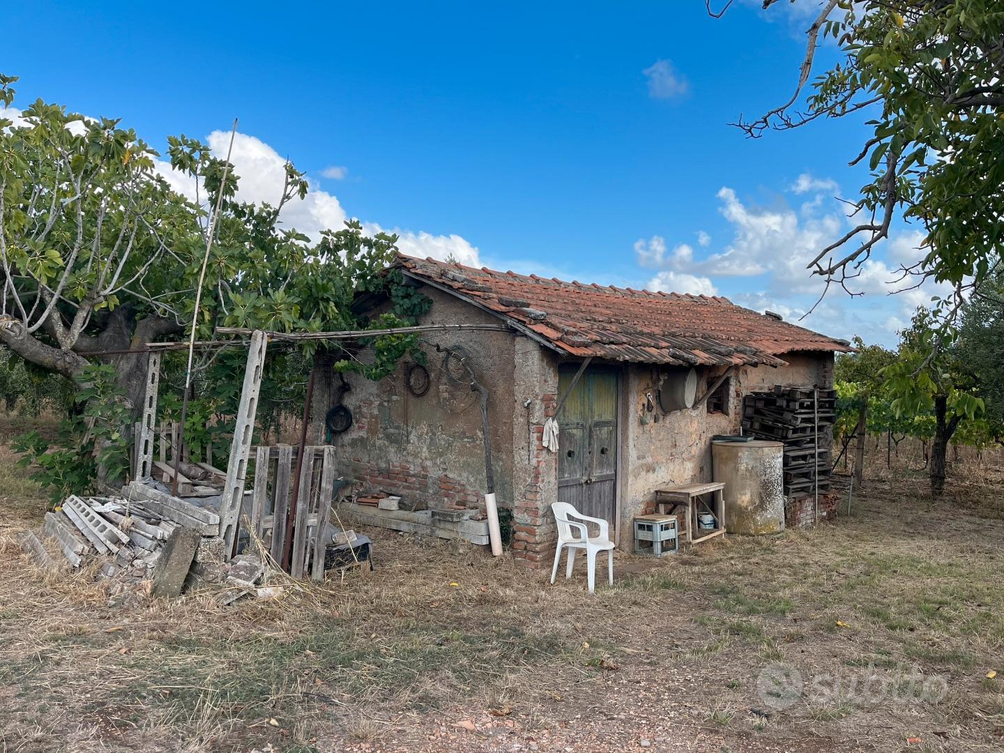 Terreno agricolo 12000mq vigneto e uliveto - Vista 4