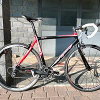Bici da strada Sintesi in carbonio tg L (56-58)