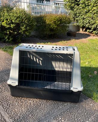 Trasportino auto per animali