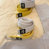 Paracolpi + cintura da Teakwondo o karate bambino