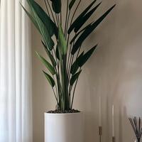 Vaso bianco da interno o esterno