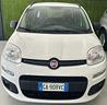 fiat-panda-1-2-lounge