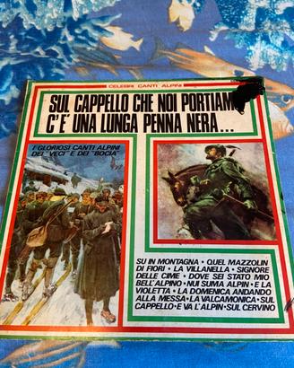 Dischi vinile del passato .