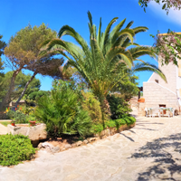 Natura e mare a Favignana