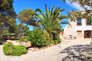 Natura e mare a Favignana