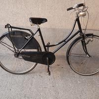 bicicletta da donna ruote 26 