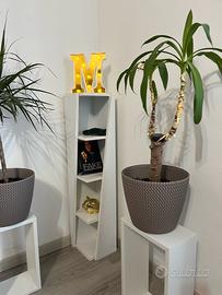 libreria angolare bianca