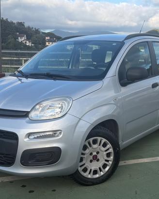 FIAT PANDA 1.2 EASY NEOPATENTATI