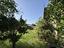Immagine 19