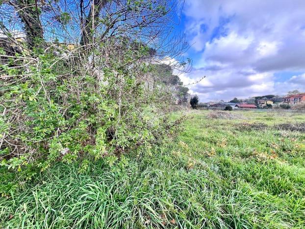 TER. AGRICOLO A ROMA